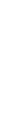 OT Right Sabe Image